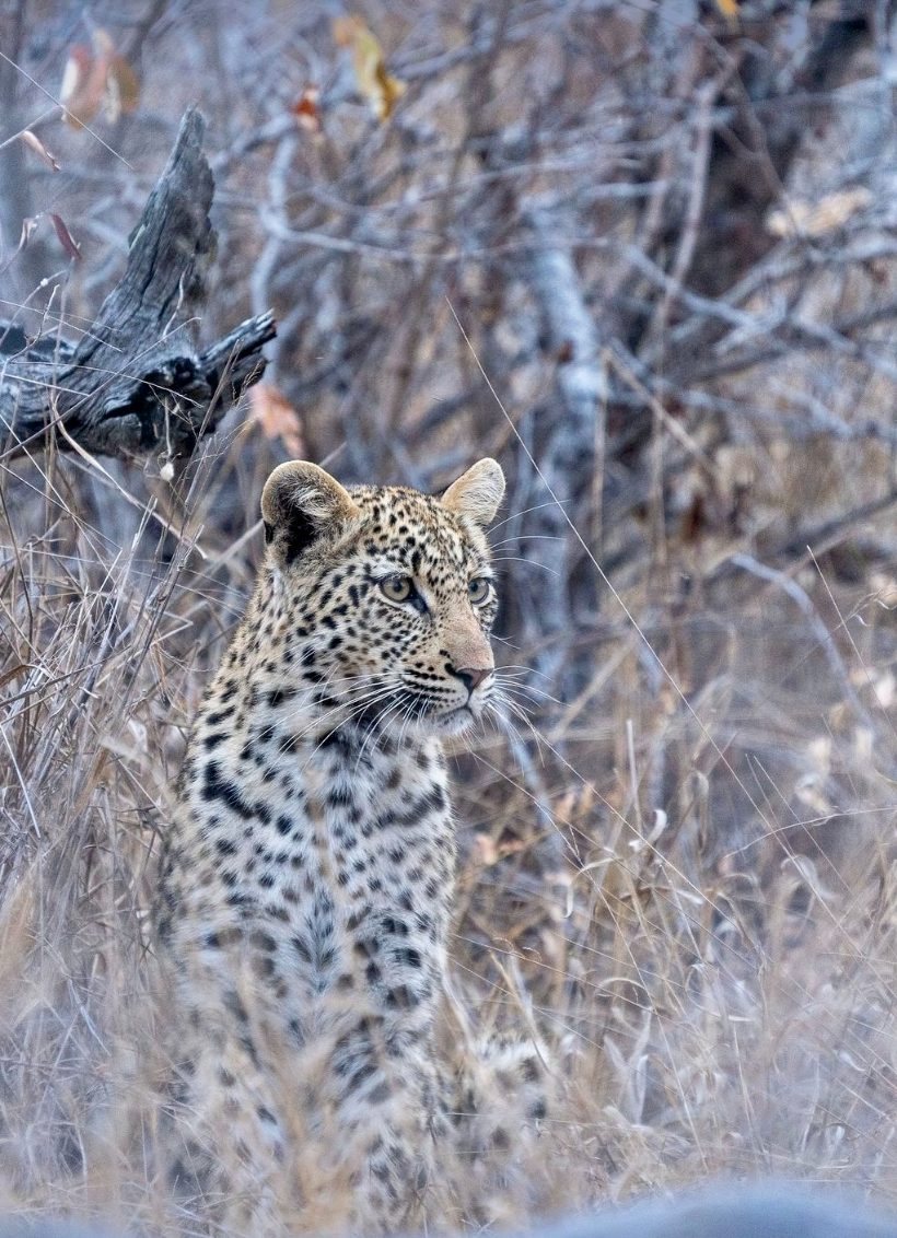 South Africa