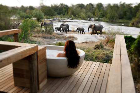 A lodge deck above an elephant herd
