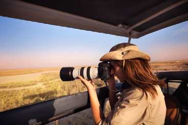 Photographing wildlife from the vehicle