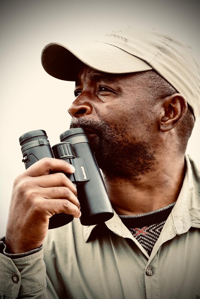 Guide scanning the bush with binoculars