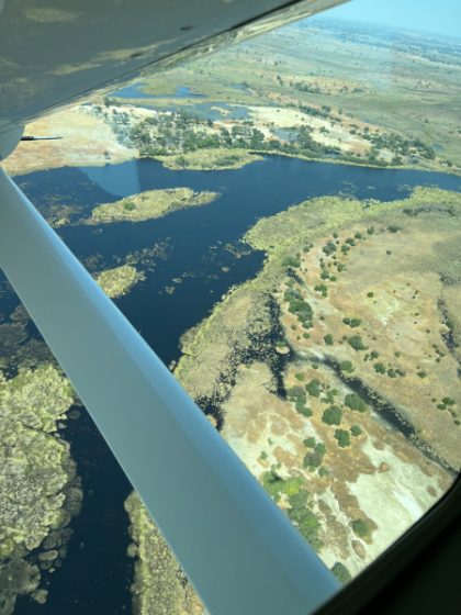 The Okavango Delta from a light-aircraft window