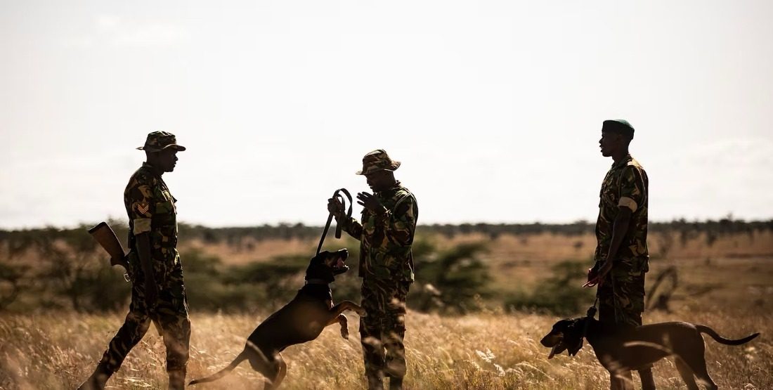 A K9 anti-poaching team on patrol