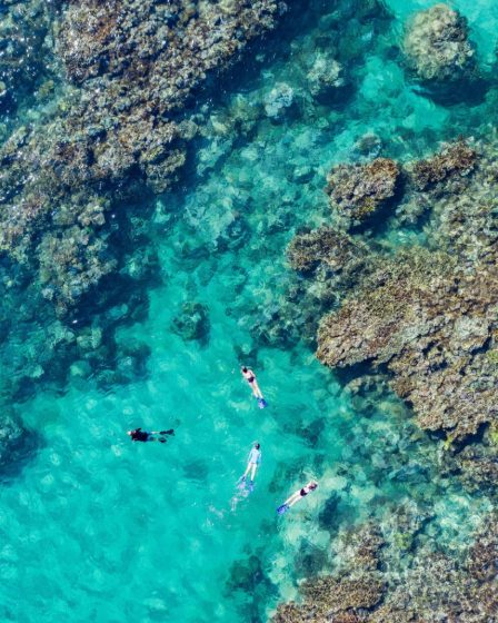 Snorkeling a coral reef