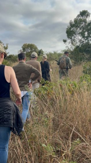 A guided walking safari in single file